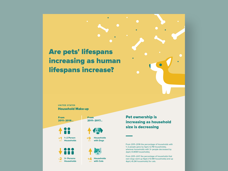 Pet vs Human Lifespans data corgi pet pets infographic information design