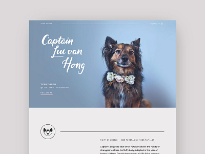 Captain Lui van Hong blue dog dogs hand lettering lettering papillon pet pets pomeranian responsive typography web design website