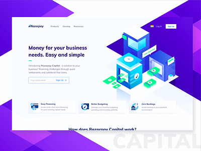 Money for your business needs! branding budget colours design finance fintech icons illustrations instant isometric loans mobile responsive settlements typography ui ux web website