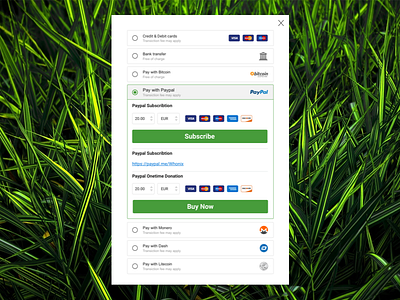 Web Online Payment bank bitcoin bitcoin exchange bitcoin services bitcoins buy card form method online pay payment payment form payment method payments paypal transfer ui ui design ux