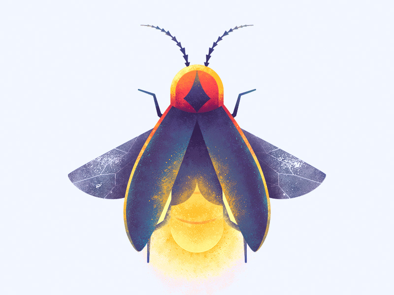 Vector Firefly Illustration Download Illustration 2020