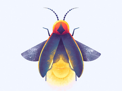 Firefly beetle bug colorful fire firefly fly illustration insect lightning vector