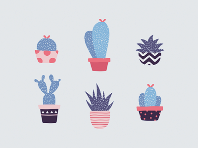 Cacti cacti cactus cute nature pattern plant potted succulent