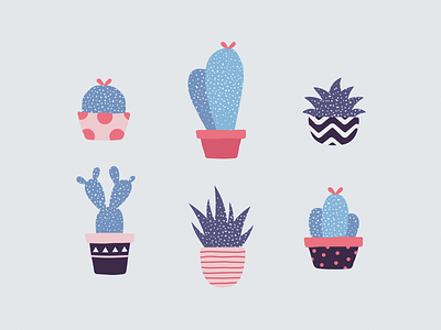 Cacti