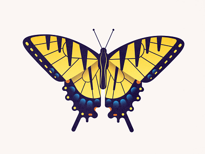 Tiger Swallowtail Butterfly animal bug butterfly cute design illustration insect nature pretty tiger swallowtail vector vector illustration yellow