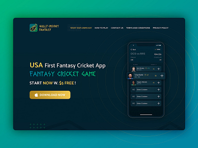 Gully Cricket | UI Design branding sketchapp ui design