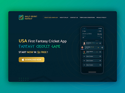 Gully Cricket   |   UI Design