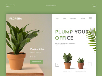 Florena - Plant Shop branding concept design e-commerce graphic design illustration logo typography ui vector