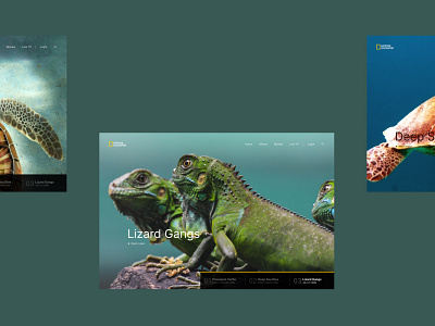 NatGeo Graphics animal nature ui