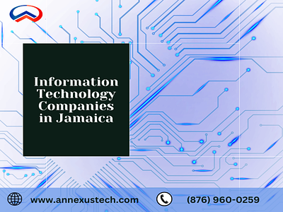 Best Information Technology Companies in Jamaica | Annexus Tech