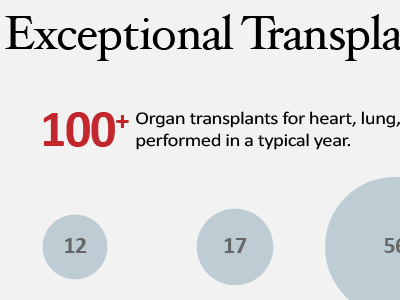 Transplant Infographic 2 data healthcare infographic