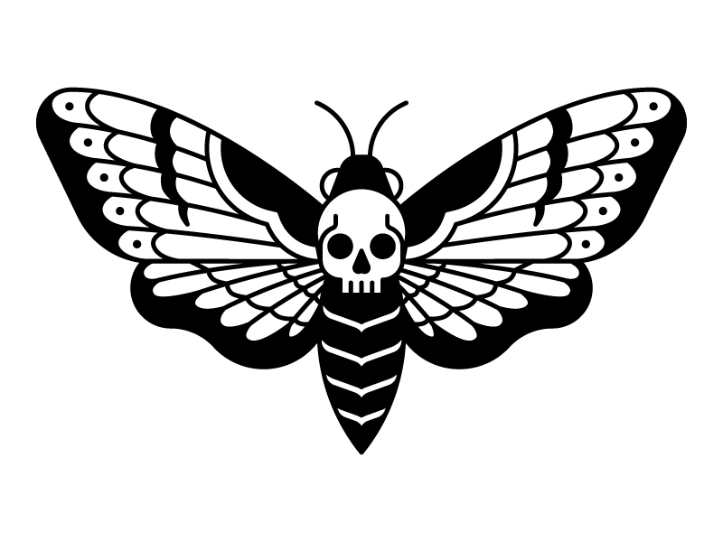 Deaths Head Hawk Moth.