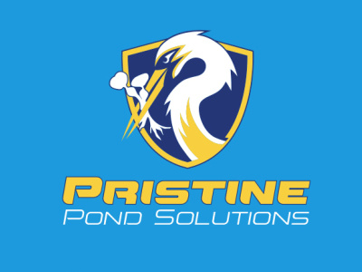 Pristine Pond Solutions // Branding branding design graphic design logo