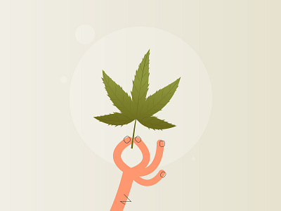 Green Grass cannabis cannabis design experiment explainer video hand hemp illustration minimal storyboard vector visual style weed