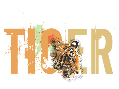 Tiger illustration save tiger t shirt tiger vector vector drawing wild life