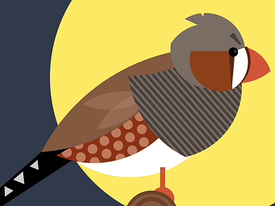 Bird Illustration bird illustration vector