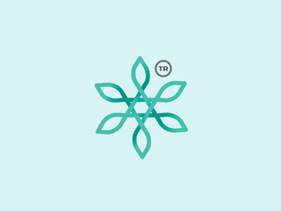 Icon for New Branding System branding costa rica geometric icon identity logo logotype mark nature shape