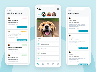 Pet Profile Redesign blue clean dailyui design freelance illustration ui white