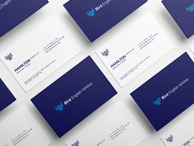 Business Card - Bird English Advisor brand identity branding design logo typography