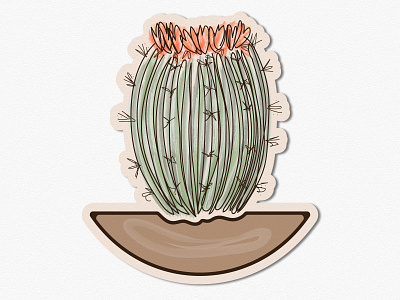 Blooming Carrel Cactus adobe adobe illustrator brush pen brushes desert design designer flower graphic graphicdesign illustraion plants tablet tablet design vector vectorart