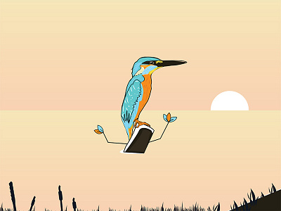 Kingfisher apps designer illustration kingfisher template ui ux web design wireframe