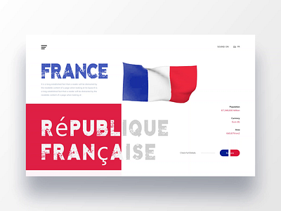 France concept country design france hero area hero banner landing landingpage politics ui web web design