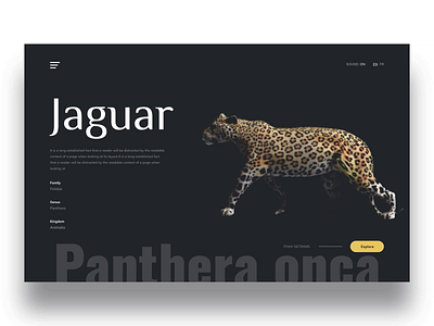 Jaguar animal concept design design app header hero jaguar save web design website