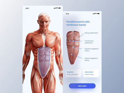 Anatomic - Learning App analysis anatomi anatomical anatomical heart anatomy android animation app design ios landing page mobile scan web website design