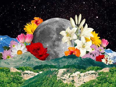 IN FULL BLOOM abstract art artist collage colorful concept creative creative direction daily design design dream flower flowers graphicdesign inspiration moon nature photoshop space stars