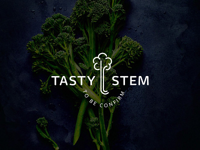 Testy Stem