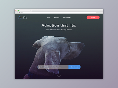 #003 / Landing Page 003 above the fold adoption animals daily ui landing page web design