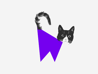 Graphic identity for WKND branding cat design icon illustration logo random vector