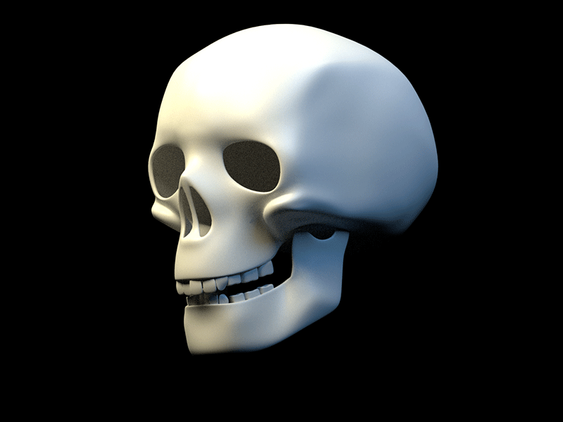 An Aghast Skull 3d animation animation blender cg cycles render skeleton skull