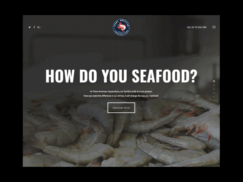 Trans American Aquaculture raised in texas shrimp web design