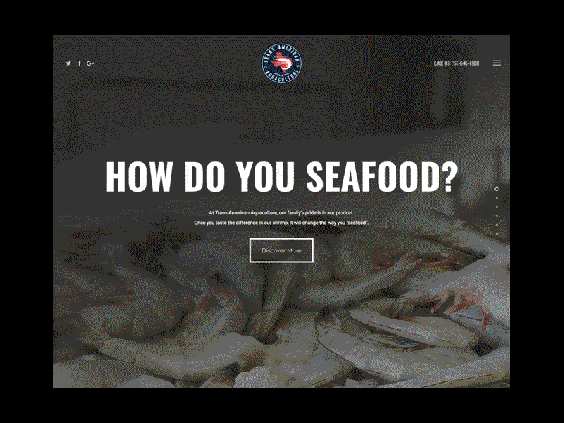 Trans American Aquaculture raised in texas web design shrimp
