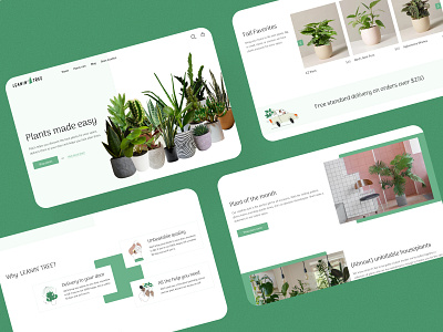 Plant Store web header cactus design flowers garden garden app gardening gardening app leaf leaves plant planting plants pot tree ui ui design ui ux watering web weed