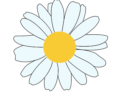 WHITE DAISY ILLUSTRATION