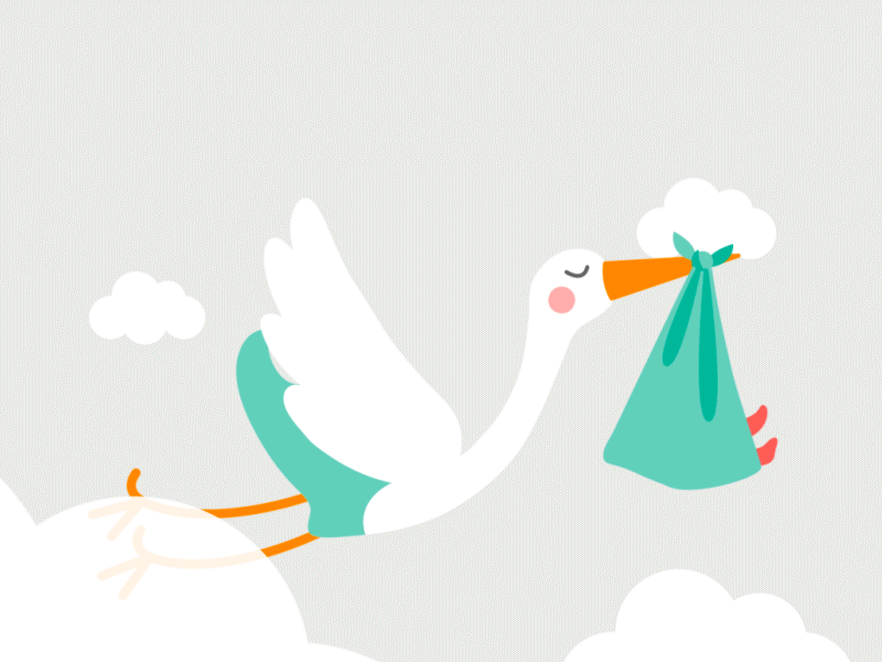 Cigogne Short Animation By Remy Saddour On Dribbble
