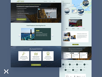 Seaweed Solutions | Lead Generation Landing Page