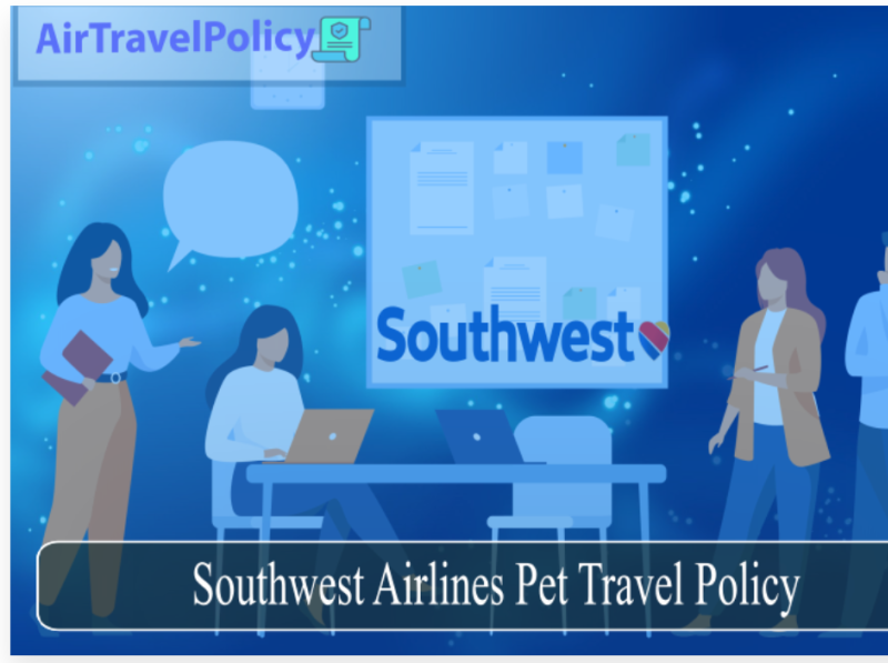 Southwest Airlines Pet Travel My Policy by Amelia Hound on Dribbble