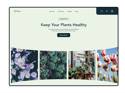 Bluee plants app design flowers hero section plants product design productdesign ui ux