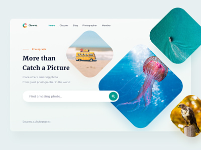 Chrome #Exploration beach clean field form grid grid layout image landing page layout logo phorography photo photographer picture sea search ui ux web website
