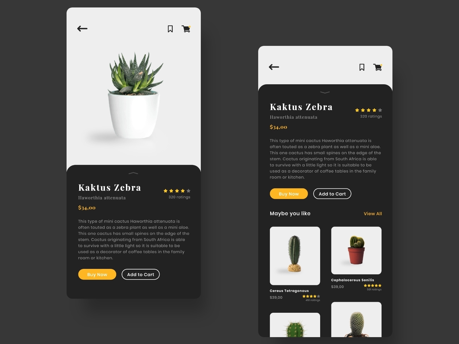 Cactus Shop By Bagas Mochammad Rhafi On Dribbble