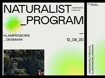 Naturalist Program agency branding design designlove graphic art identity modern naturalist poster art responsive swissdesign typeface typelove typography ui ux vibrant webdesign