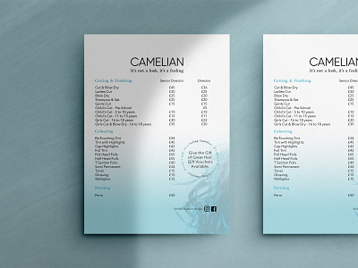 Camelian Hair Design - Price Guide branding design graphic design typography