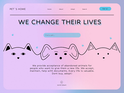 the shot for pet`s adoption site design graphic design illustration ui ux