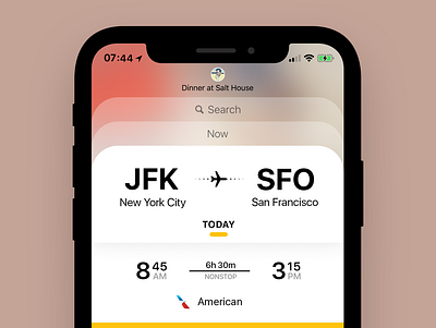Flights app app design design ios iphone ui
