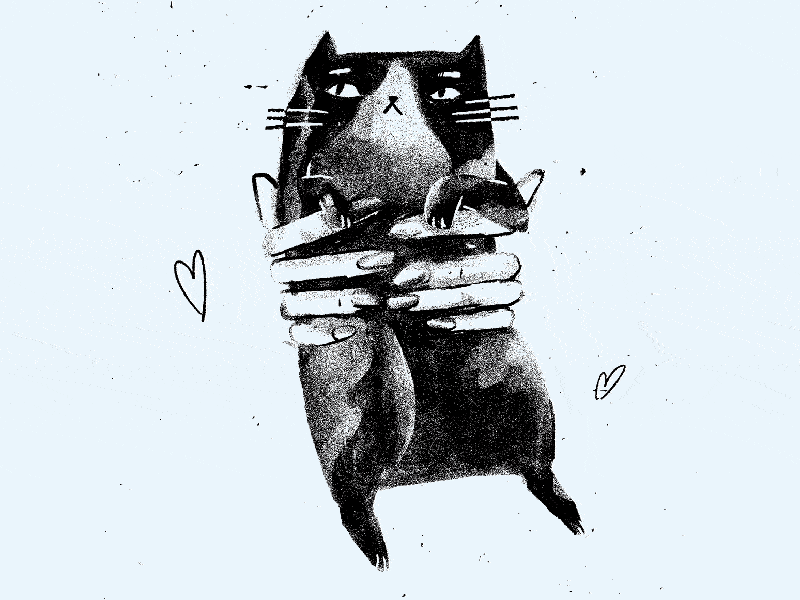 Hug a cat 🐱 2danimation animation cat cute frame animation gif illustration motion