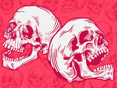 Skulls anatomy art graphic halloween head human illustration skeleton skulls vector