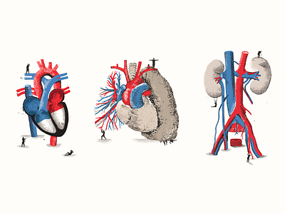 Biotud illustrations